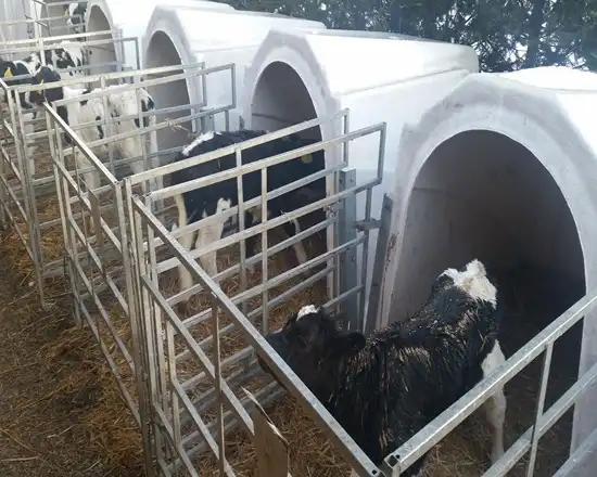 Strong and durable panel fence used on farms.